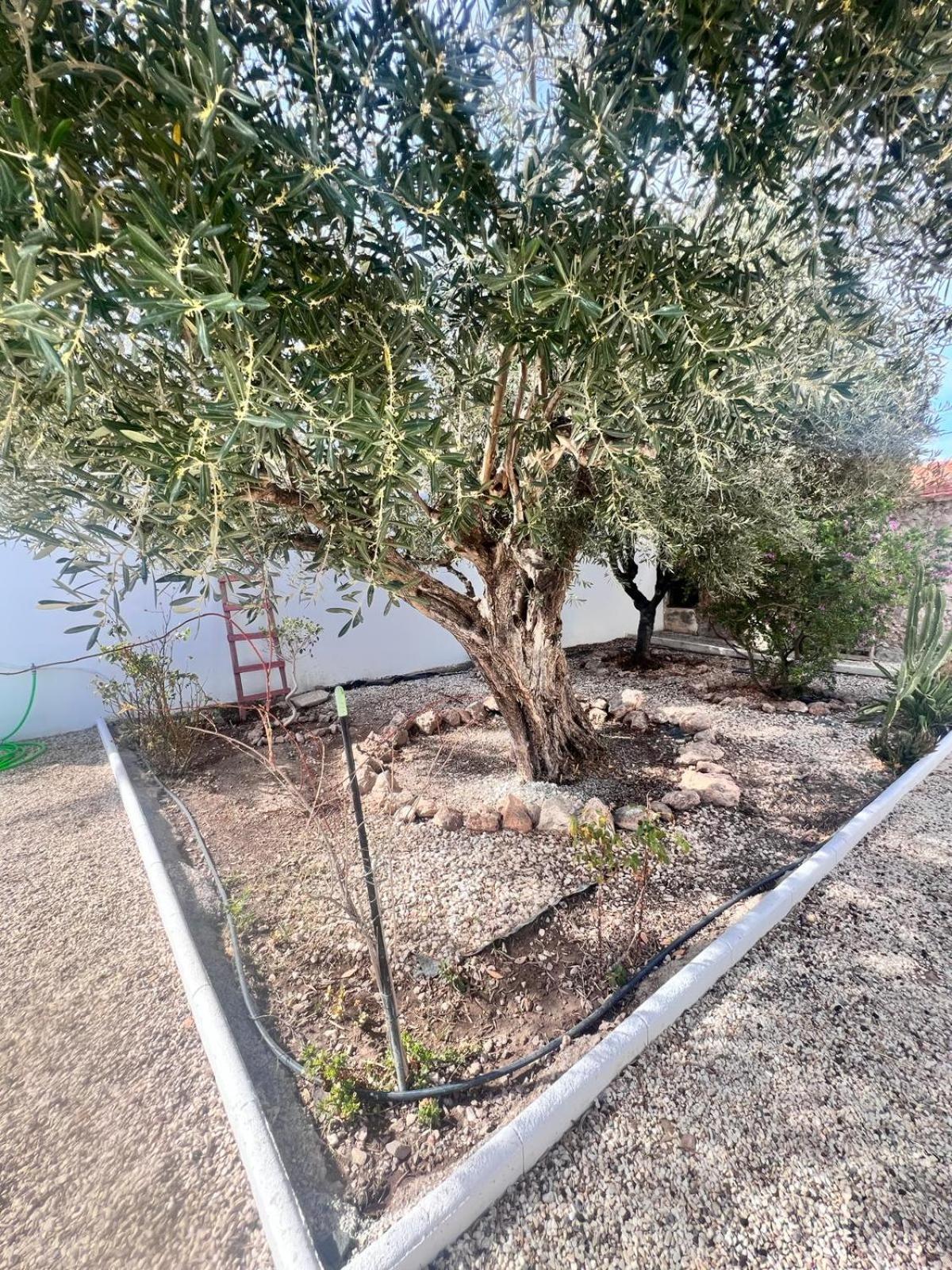 Casa Mayra Los Caparroses エクステリア 写真
